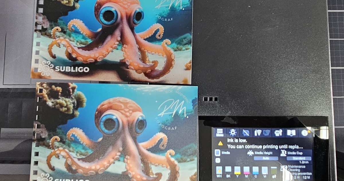 Epson SureColor SC-V1000